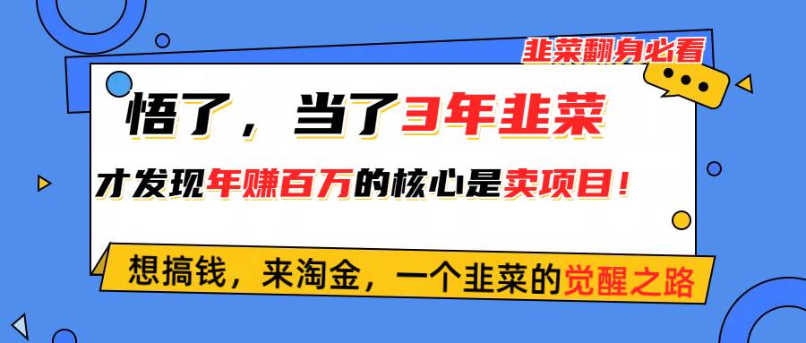 悟了，当了3年韭菜，才发现网赚圈年赚100万的核心是卖项目，含泪分享！-2Y资源网