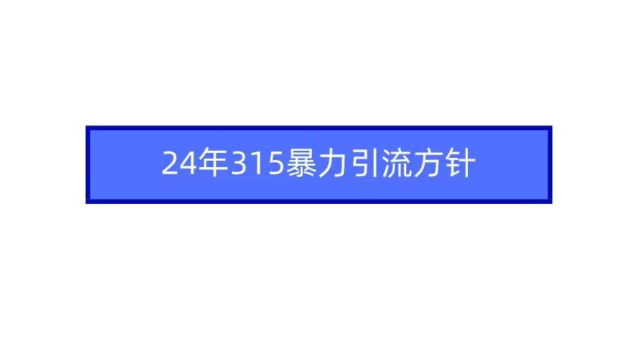 2024年315暴力引流方针-2Y资源网