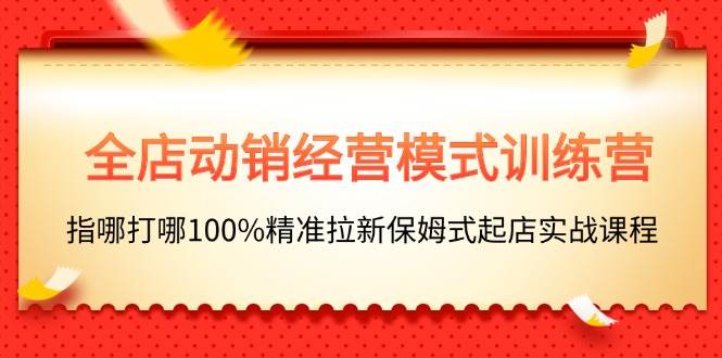 全店动销-经营模式训练营，指哪打哪100%精准拉新保姆式起店实战课程-2Y资源网