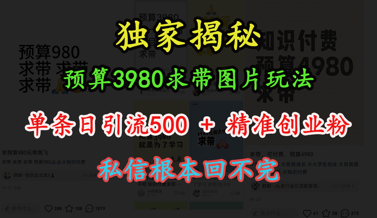 “小红书”预算3980求带 图片玩法，单条日引流500+精准创业粉，私信根本回不完-2Y资源网