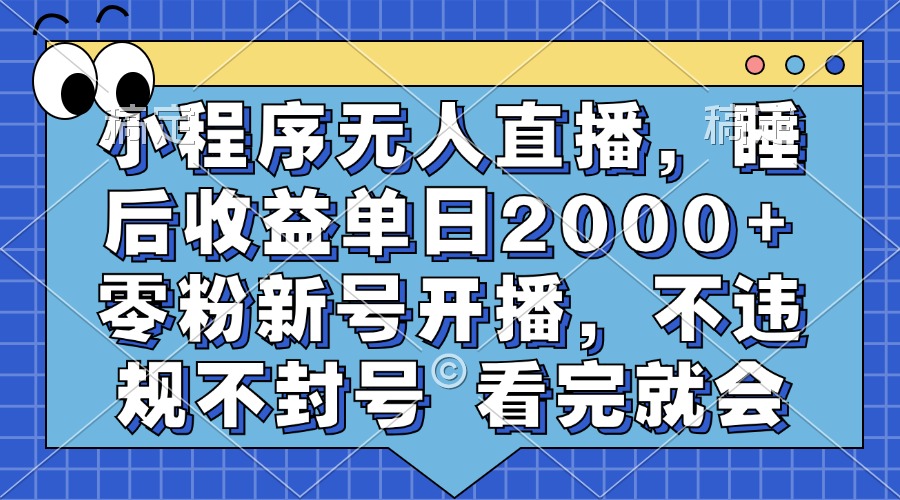 小程序无人直播，睡后收益单日2000+ 零粉新号开播，不违规不封号 看完就会-2Y资源网