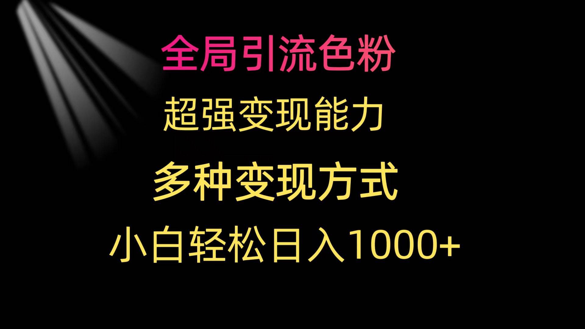 全局引流色粉 超强变现能力 多种变现方式 小白轻松日入1000+-2Y资源网