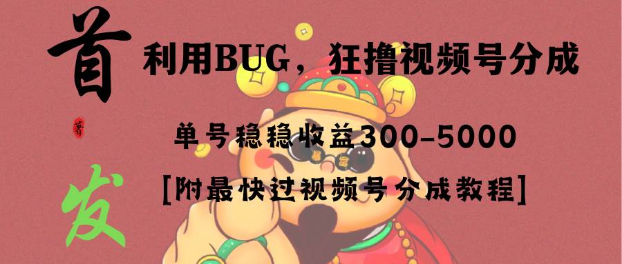 全网独家首发，视频号BUG，超短期项目，单号每日净收益300-5000！-2Y资源网
