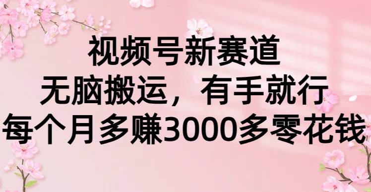视频号新赛道，无脑搬运，有手就行，每个月多赚3000多零花钱-2Y资源网