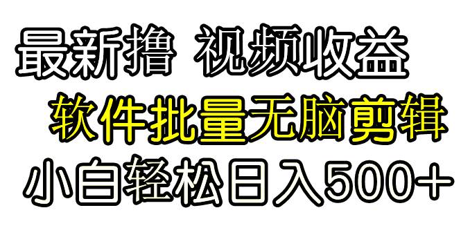 发视频撸收益，软件无脑批量剪辑，第一天发第二天就有钱-2Y资源网