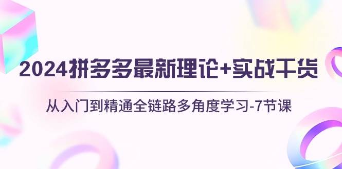 2024拼多多 最新理论+实战干货，从入门到精通全链路多角度学习-7节课-2Y资源网