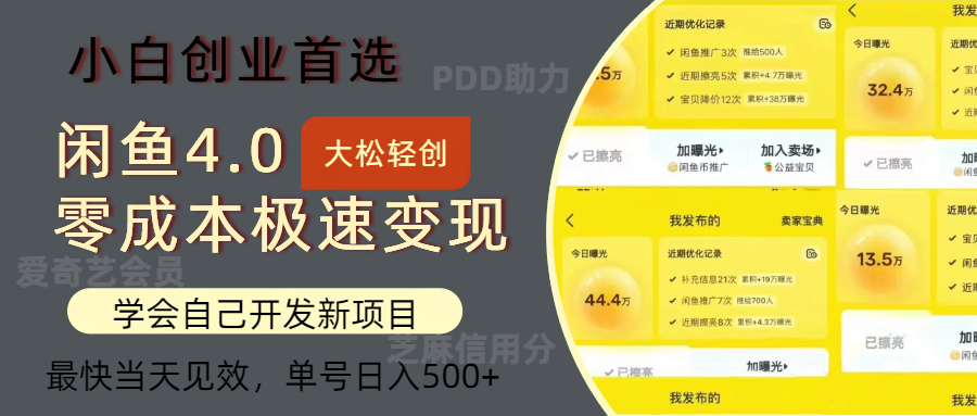 闲鱼0成本极速变现项目，多种变现方式，单号日入500+最新玩法-2Y资源网