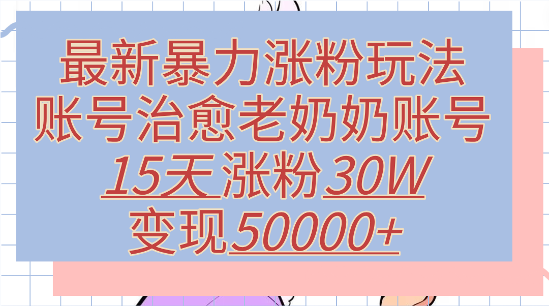 最新暴力涨粉玩法，治愈老奶奶账号，15天涨粉30W，变现50000+【揭秘】-2Y资源网