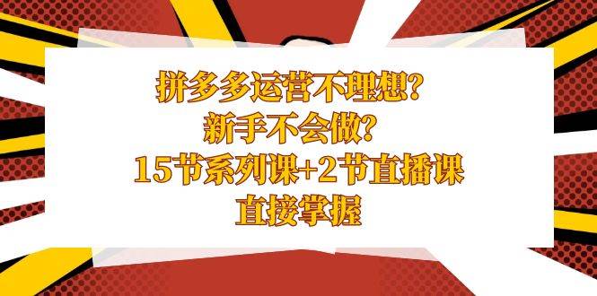 拼多多运营不理想？新手不会做？15节系列课+2节直播课，直接掌握-2Y资源网
