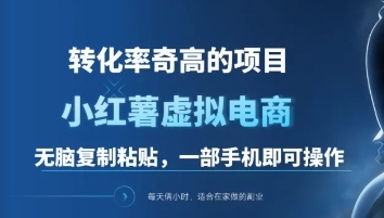 一单49.9，转化率奇高的项目，冷门暴利的小红书虚拟电商-2Y资源网