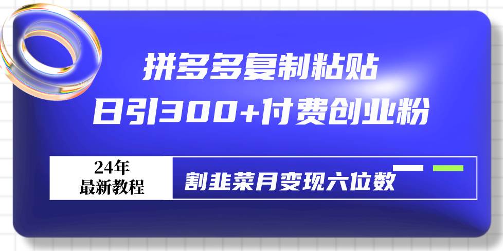 拼多多复制粘贴日引300+付费创业粉，割韭菜月变现六位数最新教程！-2Y资源网
