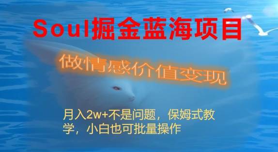 Soul掘金蓝海项目细分赛道，做情感价值变现，月入2w+不是问题-2Y资源网