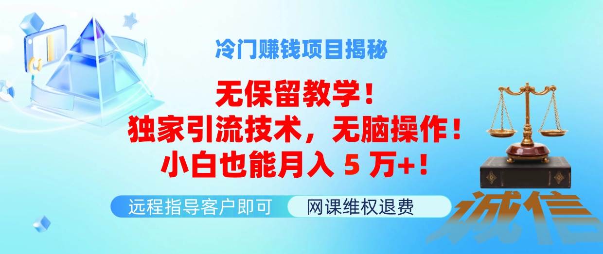 冷门赚钱项目无保留教学！独家引流技术，无脑操作！小白也能月入5万+！-2Y资源网