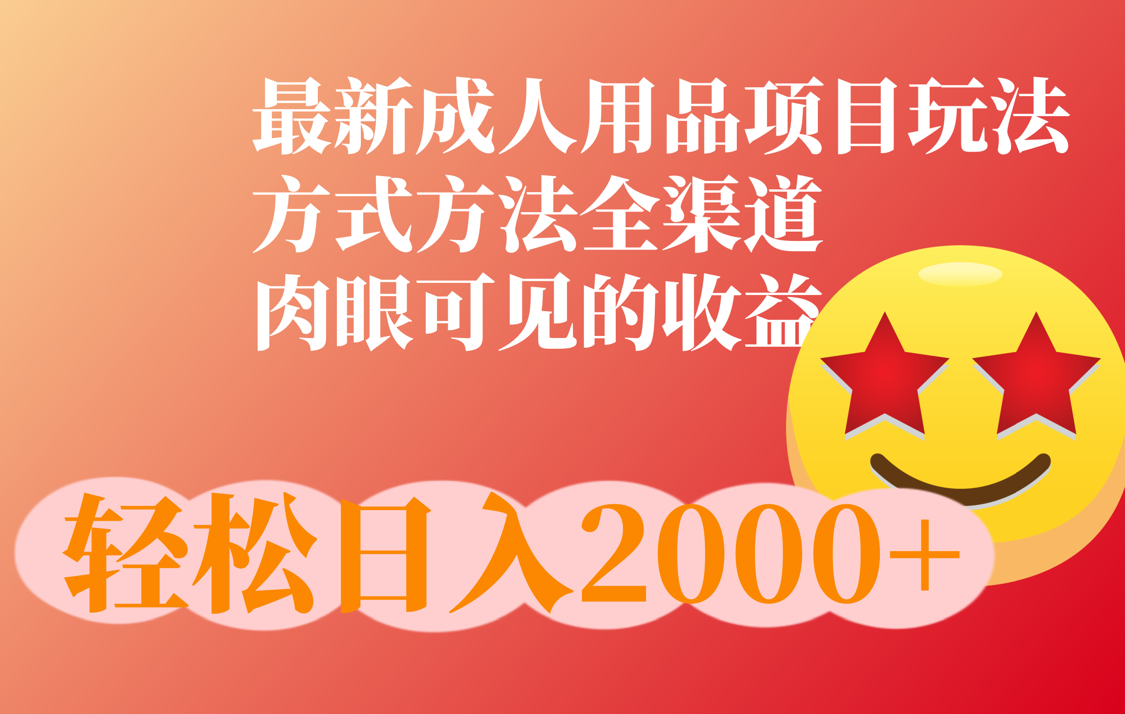 成人用品项目最新玩法，方式方法全渠道-2Y资源网