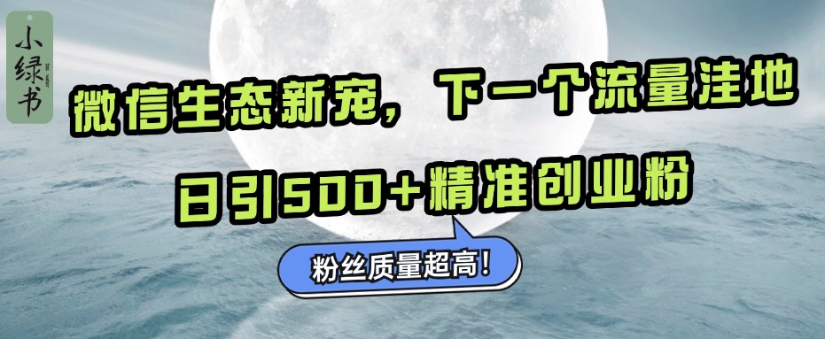 微信生态新宠小绿书：下一个流量洼地，粉丝质量超高，日引500+精准创业粉，-2Y资源网