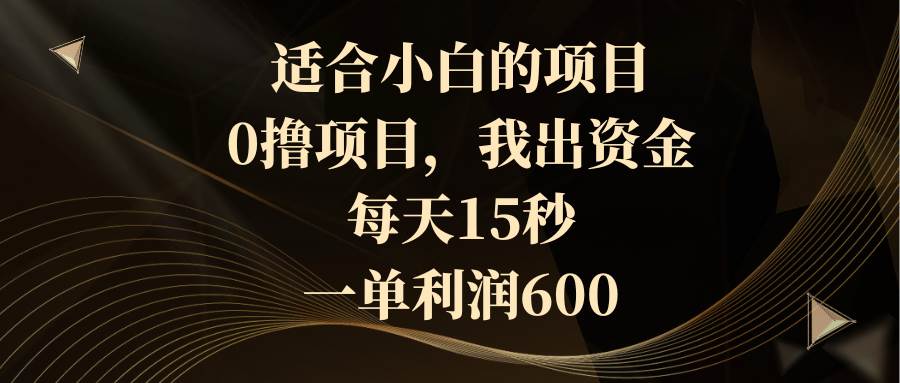 适合小白的项目，0撸项目，我出资金，每天15秒，一单利润600-2Y资源网