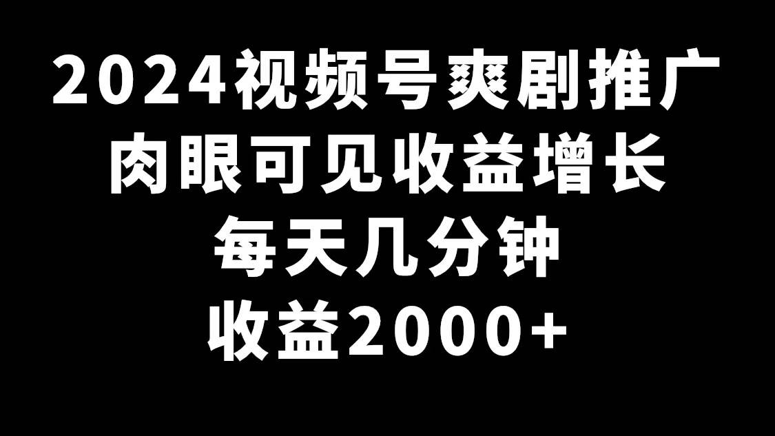 2024视频号爽剧推广，肉眼可见的收益增长，每天几分钟收益2000+-2Y资源网