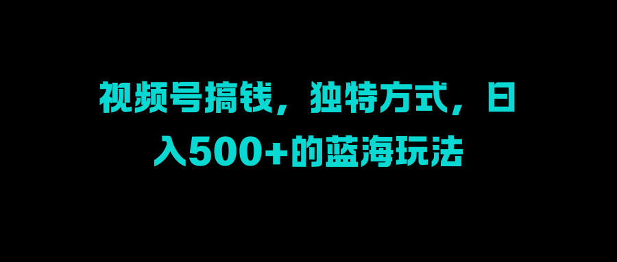 视频号搞钱，独特方式，日入500+的蓝海玩法-2Y资源网