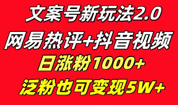 文案号新玩法 网易热评+抖音文案 一天涨粉1000+ 多种变现模式 泛粉也可变现-2Y资源网
