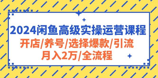 2024闲鱼高级实操运营课程：开店/养号/选择爆款/引流/月入2万/全流程-2Y资源网