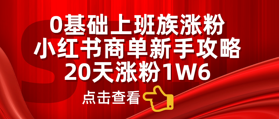 0基础上班族涨粉，小红书商单新手攻略，20天涨粉1.6w-2Y资源网