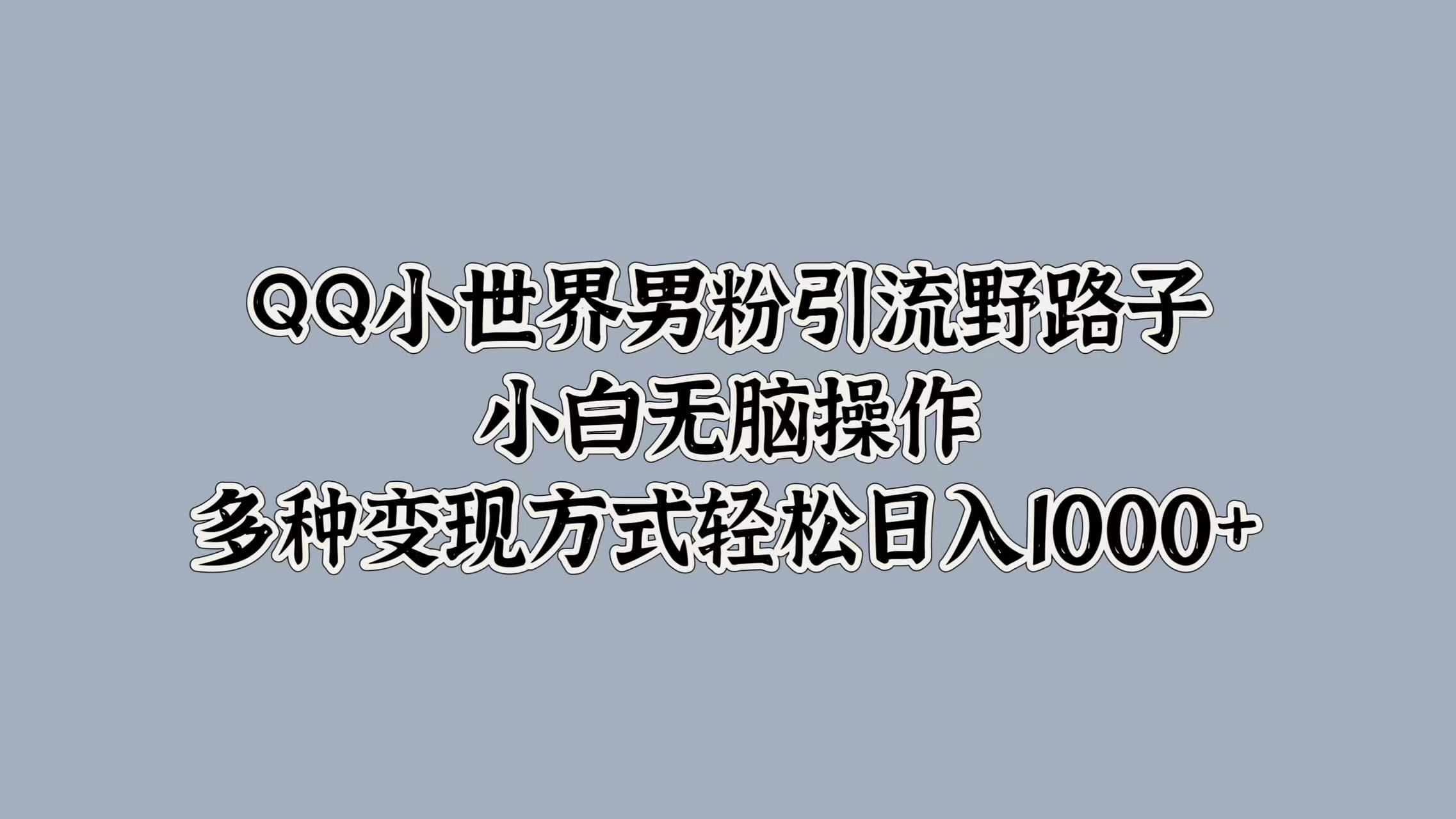 QQ小世界男粉引流野路子，小白无脑操作，多种变现方式轻松日入1000+-2Y资源网