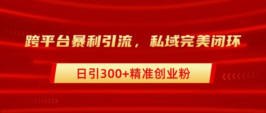跨平台暴力引流，私域完美闭环，日引300+精准创业粉-2Y资源网