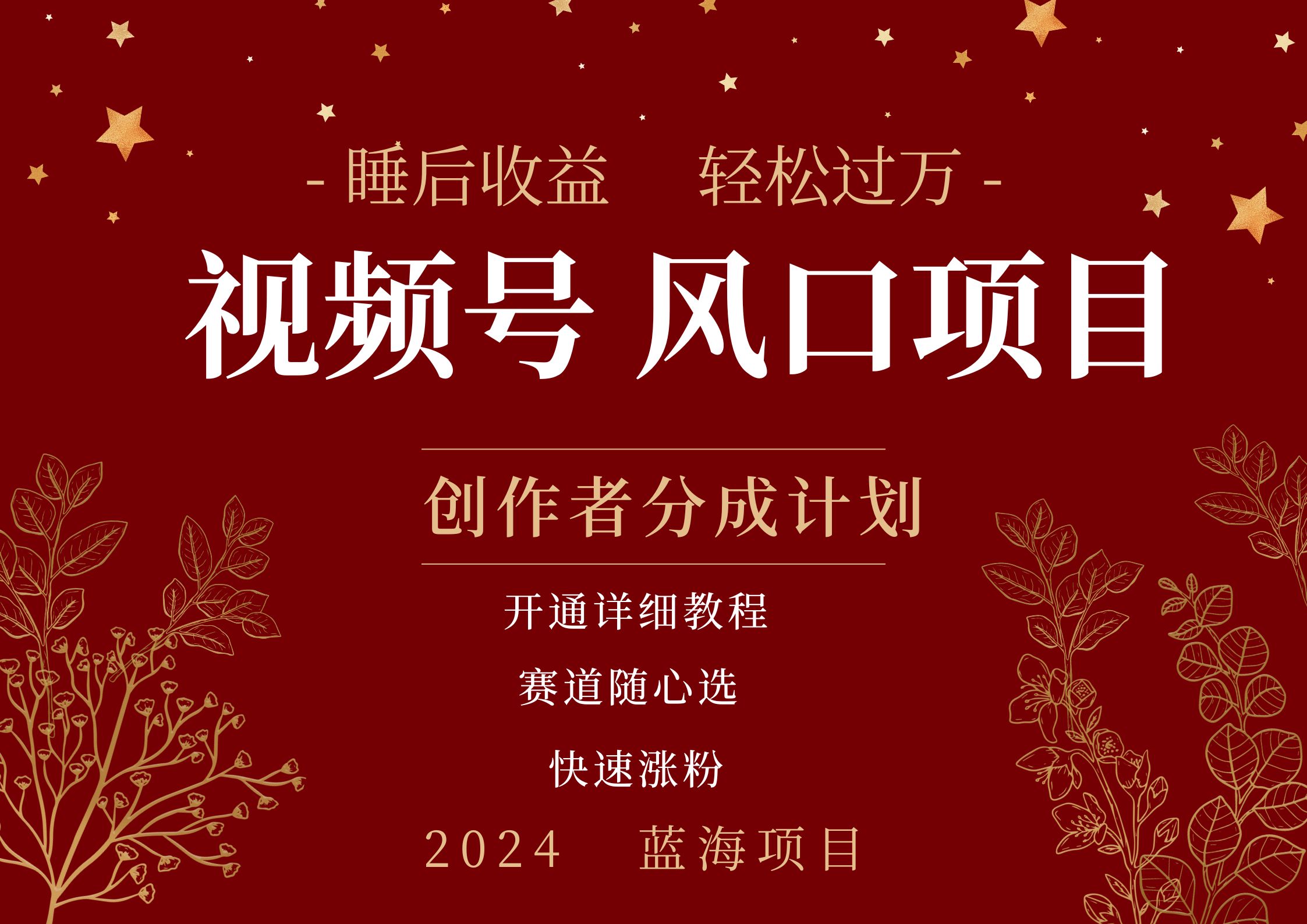 拥有睡眠收益的微信视频号大风口项目，轻松月入过万+，多赛道选择，可矩阵，玩法简单轻松上手-2Y资源网