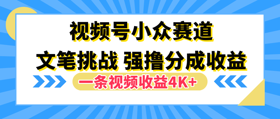 视频号小众赛道，文笔挑战，一条视频收益4K+-2Y资源网