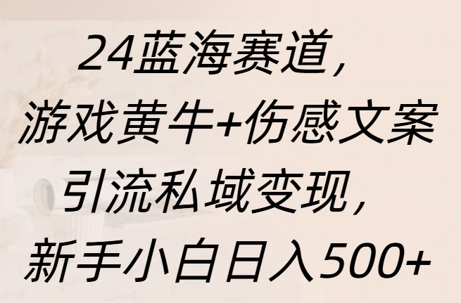 24蓝海赛道，游戏黄牛+伤感文案引流私域变现，新手日入500+-2Y资源网