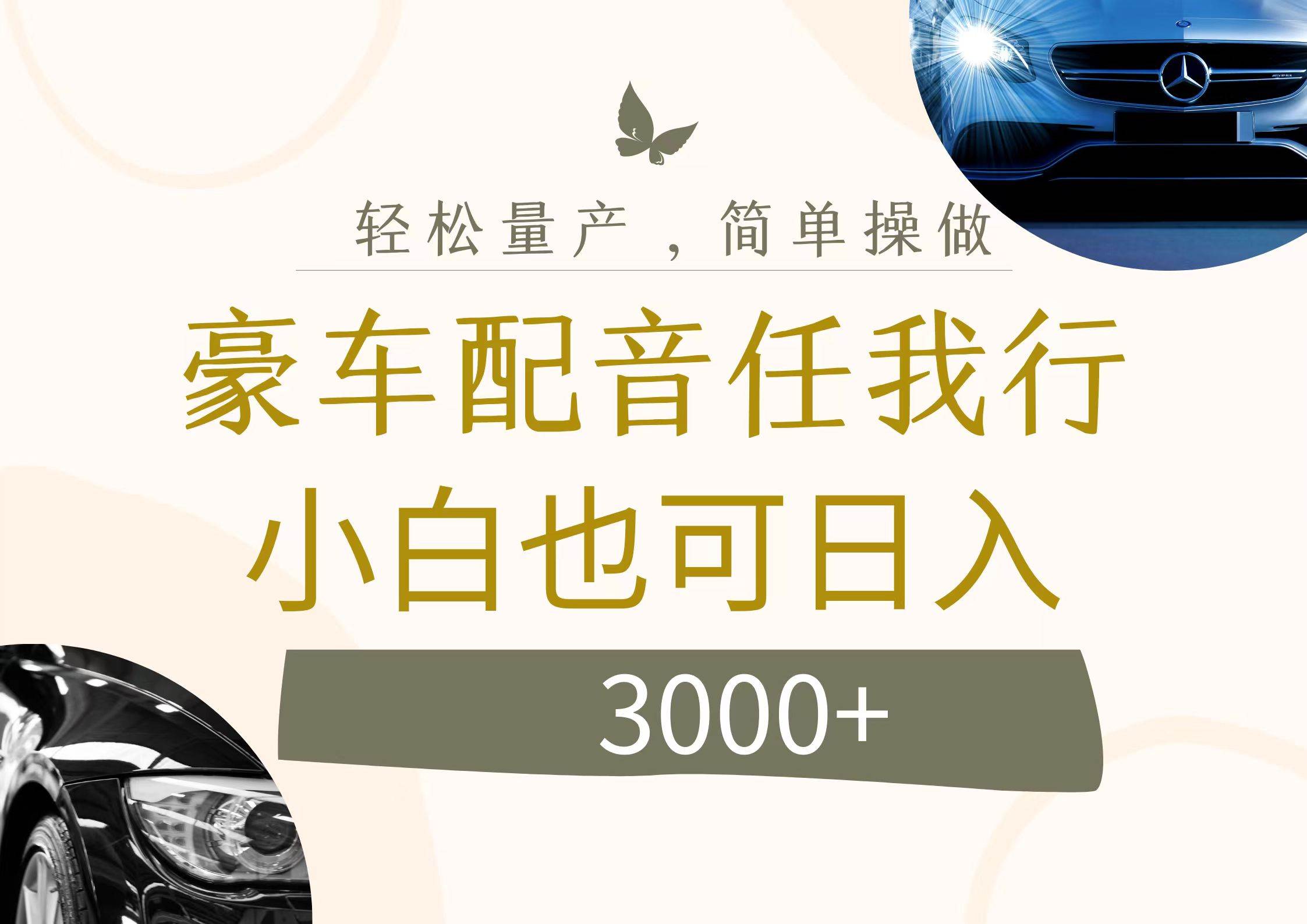 不为人知的暴力小项目，豪车配音，日入3000+-2Y资源网