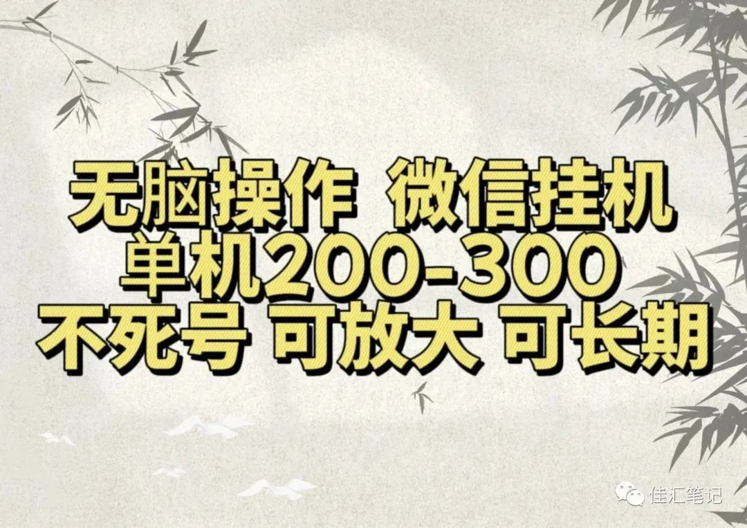 无脑操作微信视频号挂机单机200-300一天，不死号，可放大，工作室实测-2Y资源网