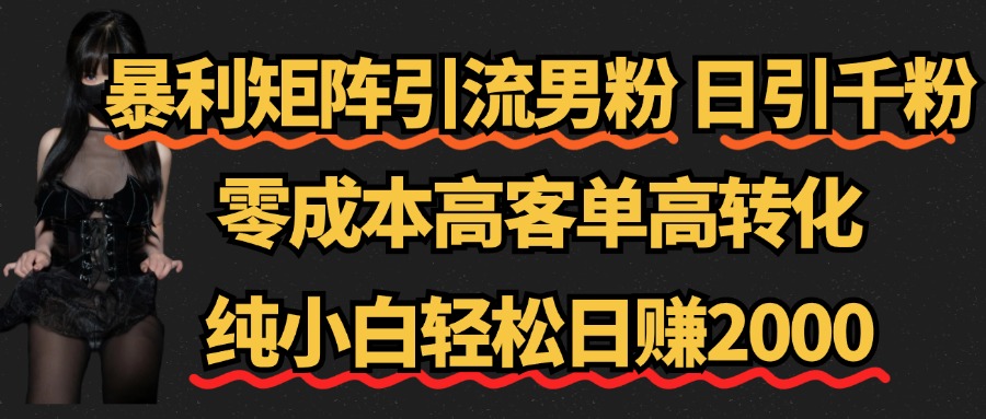 暴利矩阵引流男粉（日引千粉），零成本高客单高转化，纯小白轻松日赚2000+-2Y资源网