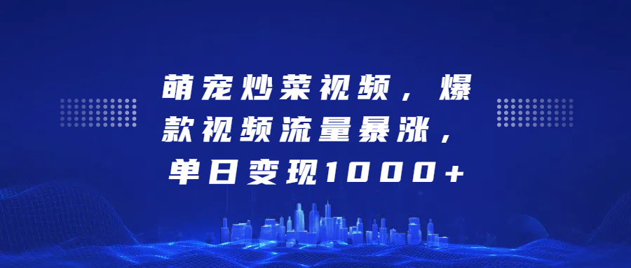 萌宠炒菜视频，爆款视频流量暴涨，单日变现1000+-2Y资源网