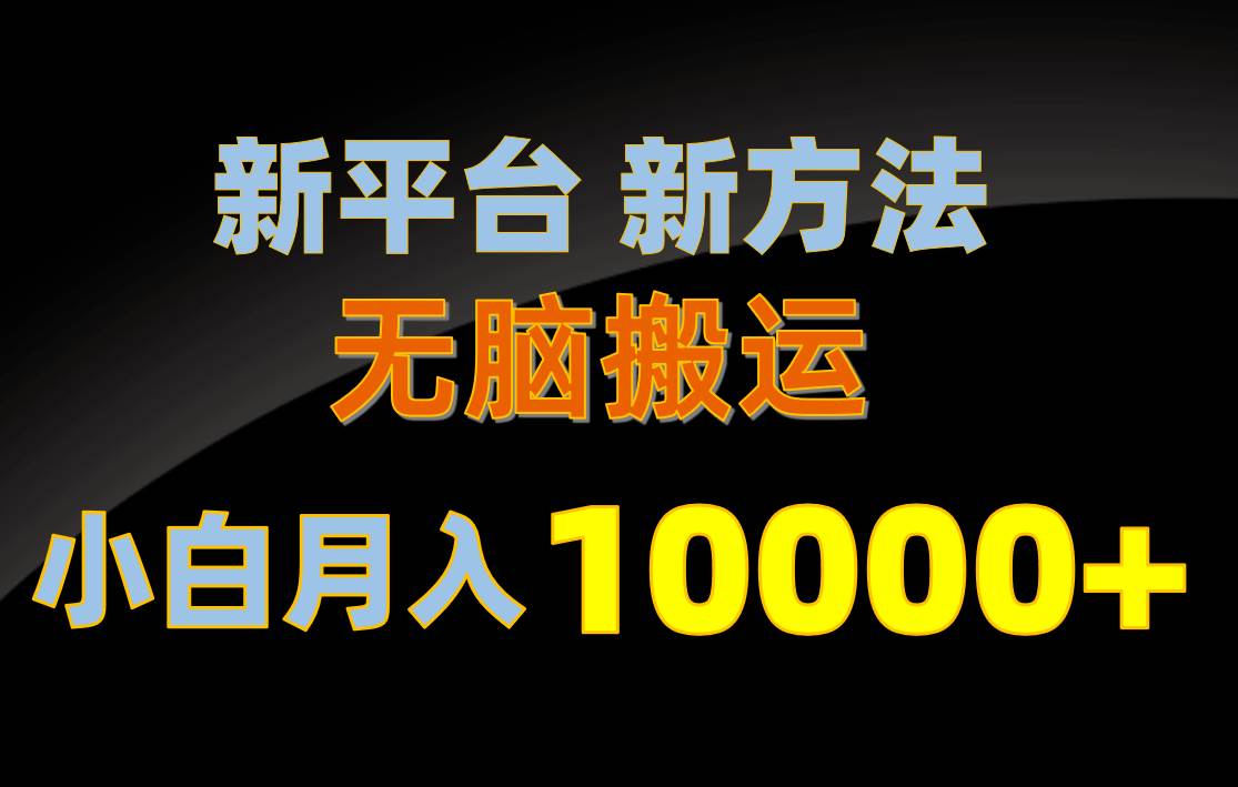 新平台新方法，无脑搬运，月赚10000+，小白轻松上手不动脑-2Y资源网