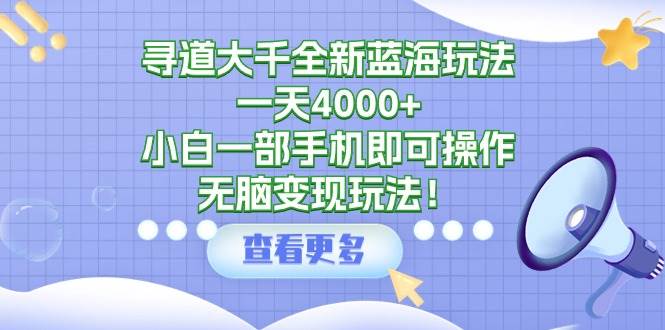 寻道大千全新蓝海玩法，一天4000+，小白一部手机即可操作，无脑变现玩法！-2Y资源网
