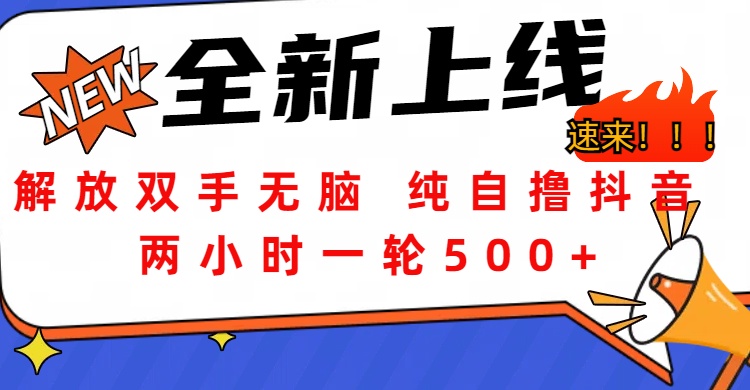 解放双手无脑 纯自撸抖音 两小时一轮500+-2Y资源网