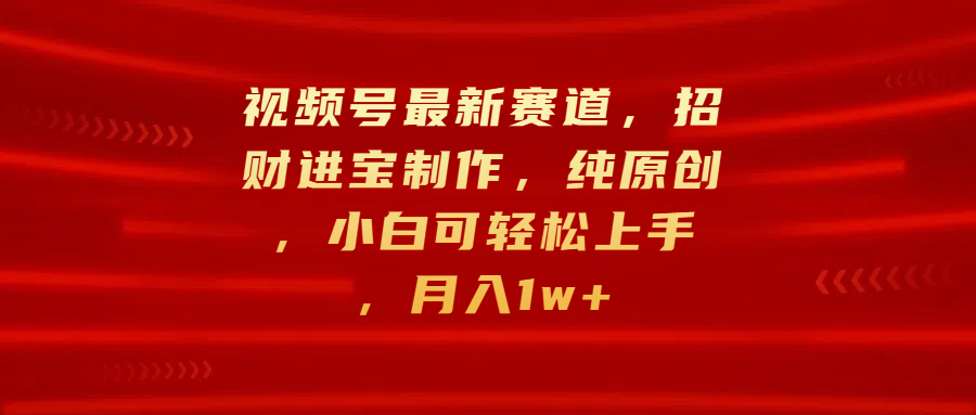 视频号最新赛道，招财进宝制作，纯原创，小白可轻松上手，月入1w+-2Y资源网