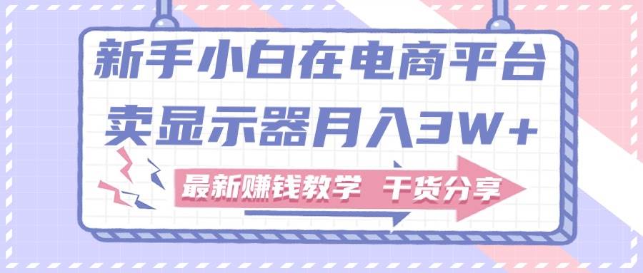 新手小白如何做到在电商平台卖显示器月入3W+，最新赚钱教学干货分享-2Y资源网