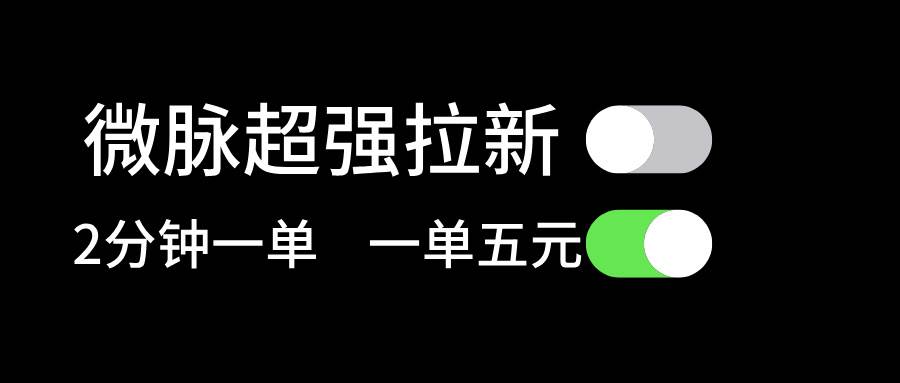 微脉超强拉新， 两分钟1单， 一单利润5块，适合小白-2Y资源网