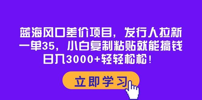 蓝海风口差价项目，发行人拉新，一单35，小白复制粘贴就能搞钱！日入3000+轻轻松松-2Y资源网