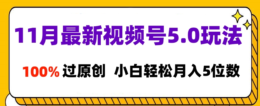 11月最新视频号5.0玩法，100%过原创，小白轻松月入5位数-2Y资源网