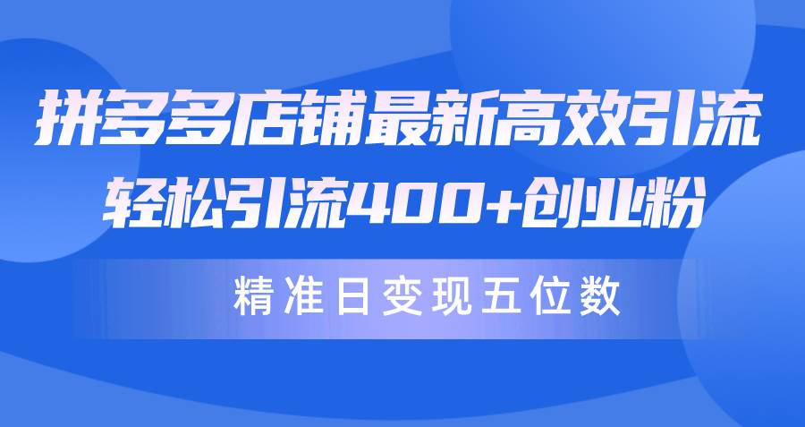 拼多多店铺最新高效引流术，轻松引流400+创业粉，精准日变现五位数！-2Y资源网