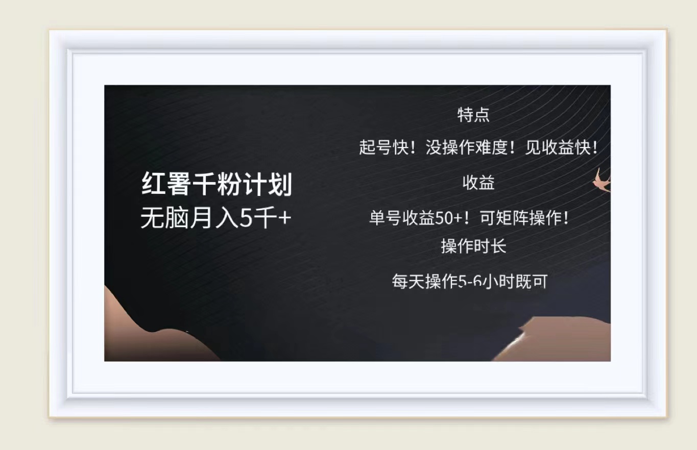 红薯千粉计划无脑月入5千➕！既做既赚！-2Y资源网