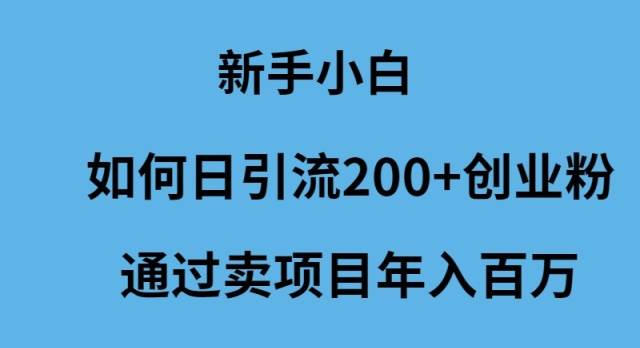 新手小白如何日引流200+创业粉通过卖项目年入百万-2Y资源网