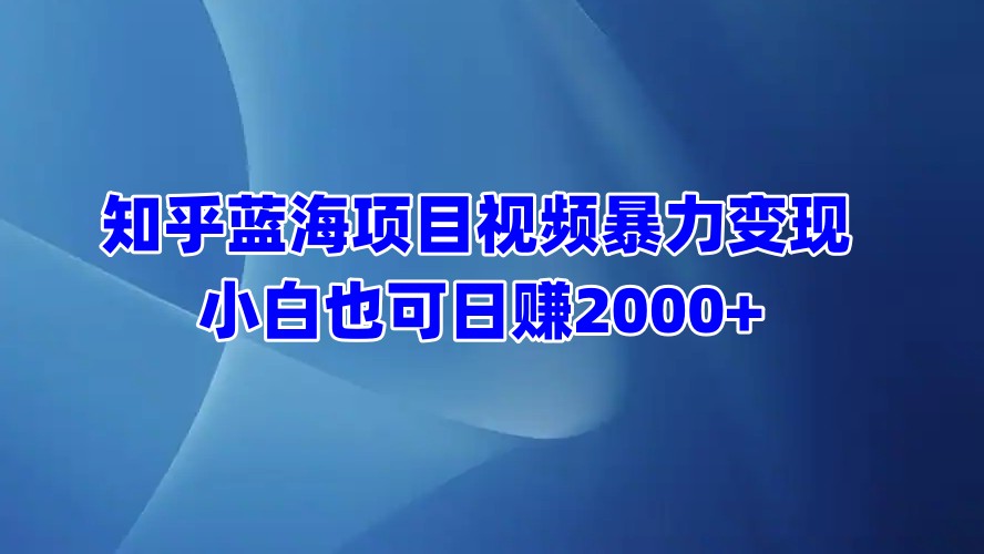 知乎蓝海项目视频暴力变现  小白也可日赚2000+-2Y资源网