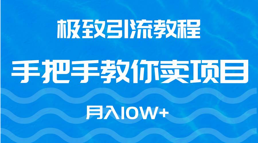 极致引流教程，手把手教你卖项目，月入10W+-2Y资源网