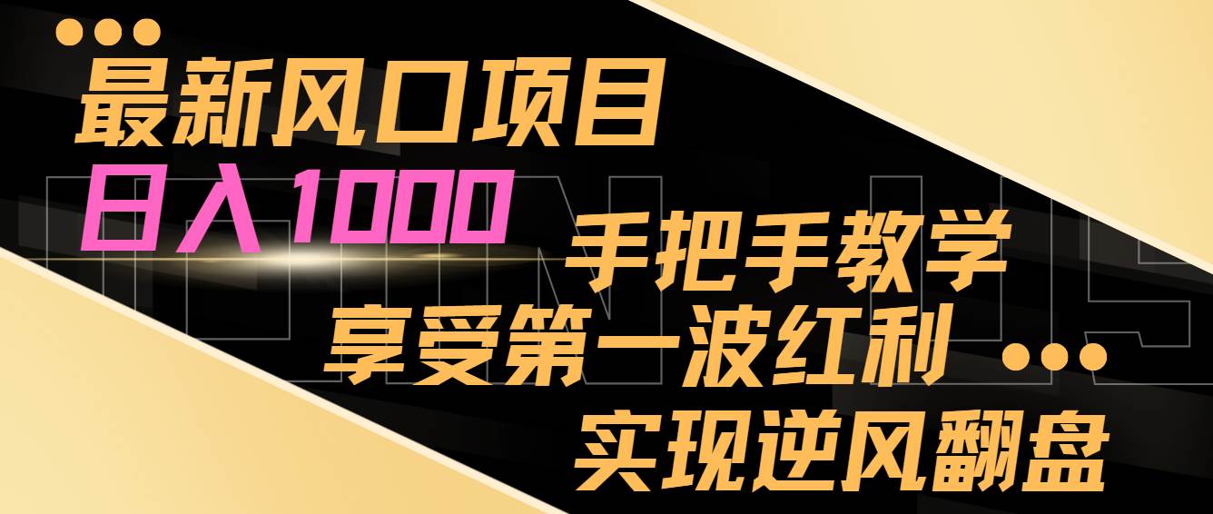 最新风口项目，日入过千，抓住当下风口，享受第一波红利，实现逆风翻盘-2Y资源网