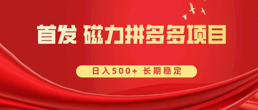 首发 磁力拼多多自撸  日入500+-2Y资源网