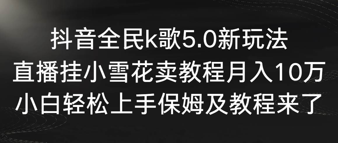 抖音全民k歌5.0新玩法，直播挂小雪花卖教程月入10万，小白轻松上手，保…-2Y资源网